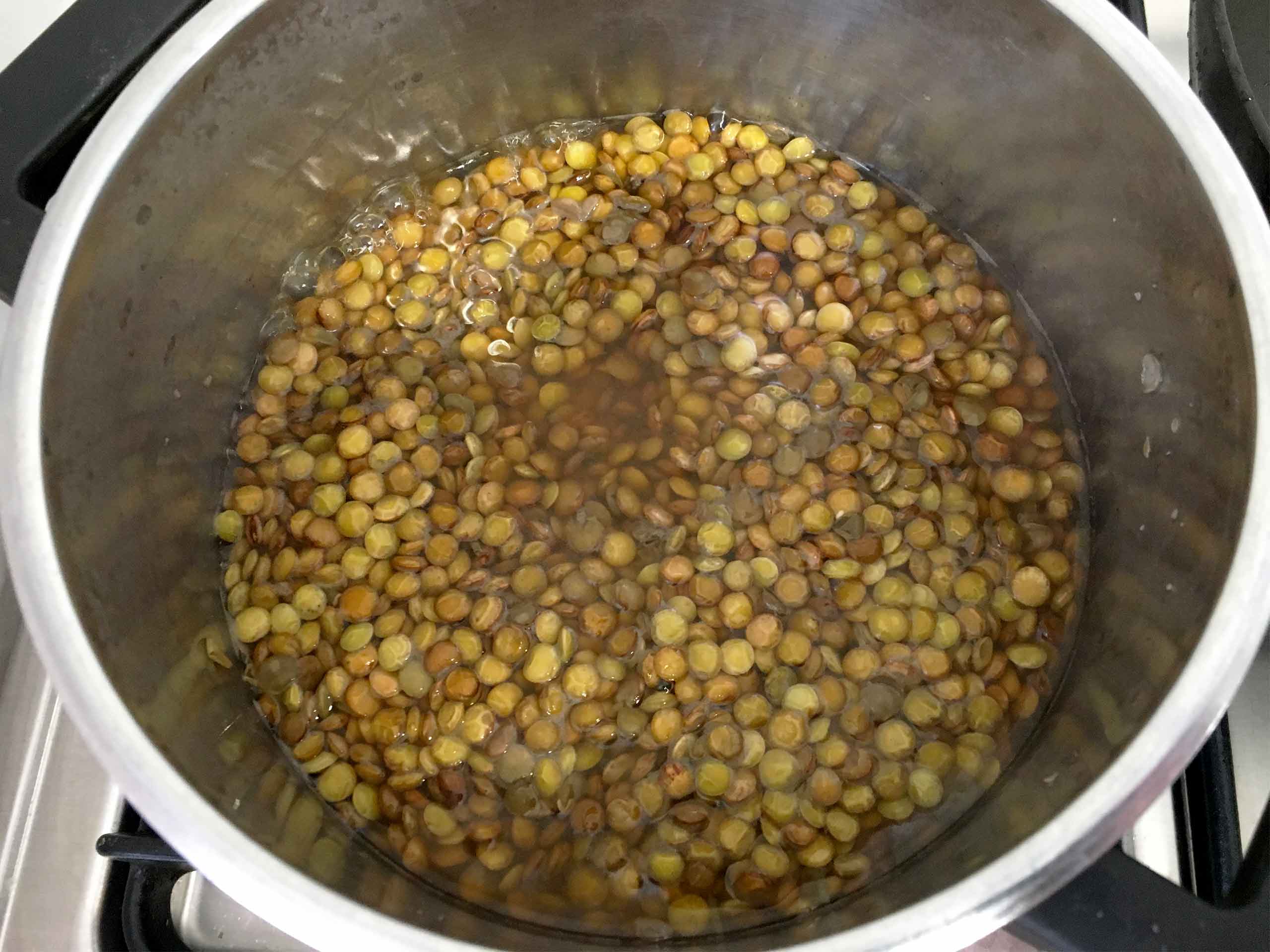 Mujadara cooking the lentils