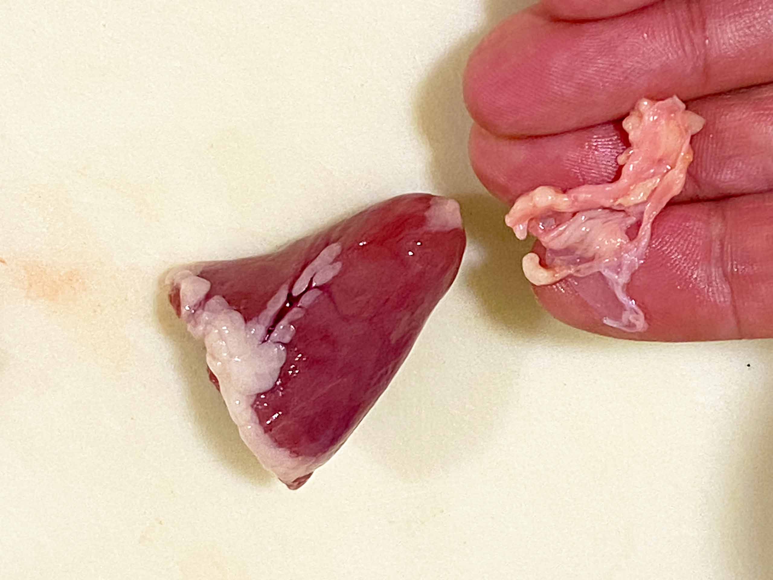 removing the chicken heart membrane